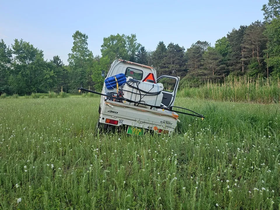 Property Maintenance